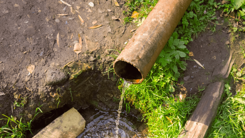 how much does it cost to replace a sewer line windy city rooter